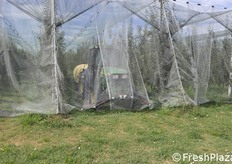 Momento di uscita del trattore dal filare.