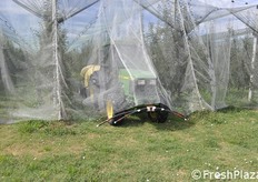 Momento di uscita del trattore dal filare, foto in sequenza.