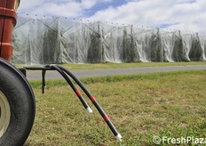 Particolare degli organi flessibili applicati alla trattrice per l'apertura delle reti.