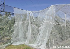 Punto di raccordo fra due impianti.