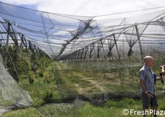 Corridoio chiuso fra due impianti.