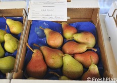 La pera estiva Carmen.