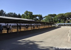 Pochissima gente durante tutto il corso della mattinata.