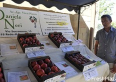 Lo spazio espositivo di Daniele Neri, vivaista di Faenza (Ravenna).