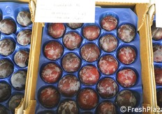 Diverse le varietà di susine esposte.