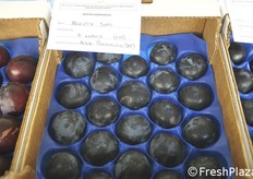 Varietà di tipo black.