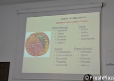 Alcuni dei possibili descrittori dell'analisi sensoriale sulla frutta.