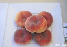 Sempre apprezzate le pesche piatte che, in genere, spuntano buoni prezzi proprio perché in pochi ebbero il coraggio di scommetterci.