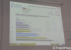 I criteri che guidano i consumi.