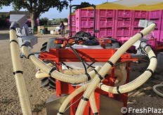 Attrezzatura per facilitare l'impollinazione.