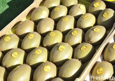 Particolare di kiwi Dorì