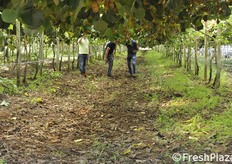 In visita agli impianti di Dorì.