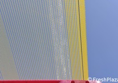 Reti gialle ideali per il kiwi a polpa gialla.