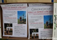 "Il nuovo portinnesto del gruppo Ceradini, appositamente testato per difendere le piante di actinidia in terreni a rischio "moria del kiwi"."