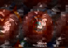 Numerose le produzioni agricole di eccellenza della Regione Campania, tra cui la Melannurca Campana IGP.