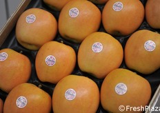 Mele Kissabel a polpa rossa.