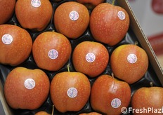 Mele Kissabel a polpa rossa.