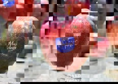 Mela Marlene destinata al mercato spagnolo, con nuovo brand.