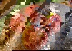 Mele Ambrosia in flowpack senza vassoio.