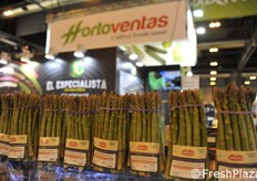 Asparagi spagnoli in mazzi.