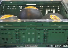 Cassetta a sponde abbattibili Ifco.