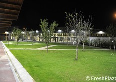 Fin troppo poetico il frutteto, slegato dalla realtà.