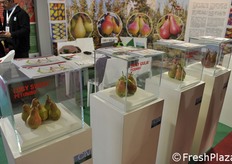 Varietà licenziate dal Civ e Università di Bologna.