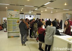 Buona affluenza di visitatori.