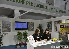 La Fondazione Navarra si occupa di ricerca.