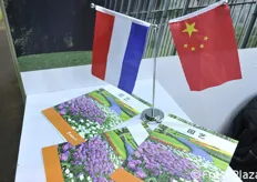 Paesi Bassi e Cina ipoteticamente unite.