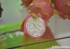 Dragon Fruit a polpa bianca.