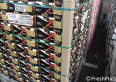 "Esportate per il popolo della Repubblica Cinese". Così si legge sull'etichetta di queste ciliegie Royal Down del Cile."