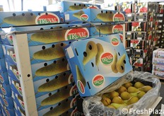 Pere Conference provenienti dal Belgio.