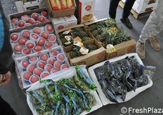 Grossisti con diverse tipologie di frutta.