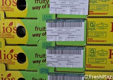 Anche la Grecia esporta il suo kiwi.