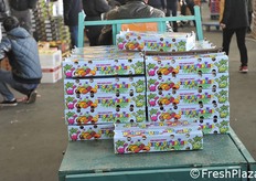 Qua il packaging ha superato se stesso, con il brand del dinosauro...