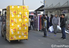 Tutti i muletti del mercato sono a motore diesel, così non mancano inquinamento acustico e dei gas di scarico.