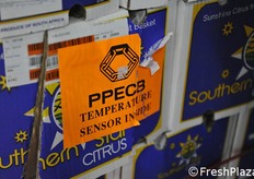 Punto in cui nei container è stata inserita la sonda per il controllo della Temperatura. I punti di sondaggio hanno un protocollo rigidissimo.