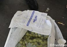 Uva da tavola californiana con il sistema di rilascio di anidride solforosa.