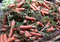 Carote per il popolo, allo stato non grezzo, grezzissimo...