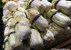 Verdura fresca, una sorta di verza.