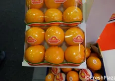 Nuova confezione da sei frutti per l'arancia rossa Rosaria.