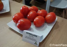 Novità per il segmento del pomodoro da industria: Estrellade ha la caratteristica di non fare troppa acqua quando viene processato.