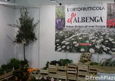 Fondata nel 1941, L'Ortofrutticola di Albenga è la più grande cooperativa agricola della Liguria. Con oltre 650 coltivatori associati copre un'area di circa 2.000 ettari, oltre il 60% della superficie coltivabile della Piana di Albenga.
