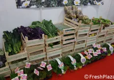 L'assortimento di prodotto dell'Ortofrutticola di Albenga: piante aromatiche, margherite, fiori, piante fiorite, ortaggi.