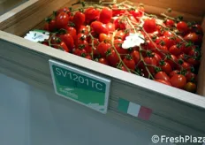 Presso lo stand Seminis & De Ruiter (gruppo Monsanto), bandierine indicano i prodotti sviluppati e/o coltivati in Italia.