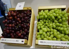 Le uve ARRA sono disponibili in svariate colorazioni . In Italia, sono già parte dei programmi di approvvigionamento di almeno 8 catene di supermercati.