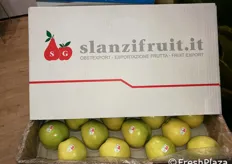 Slanzifruit, esportazione frutta altoatesina.