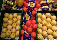 I limoni della Cai, Società agricola cooperativa agricoltori jonici.