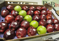 Ben studiata questa composizione di mele rosse e verdi, brand Rossella della veneta B&B Frutta.